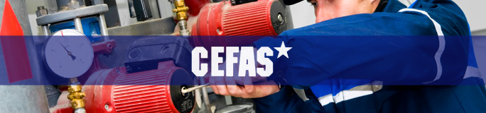 cefas infor erp