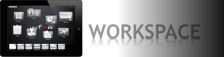  Infor10 Workspace