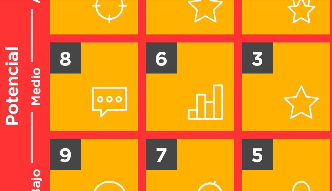 Matriz de las 9 Cajas